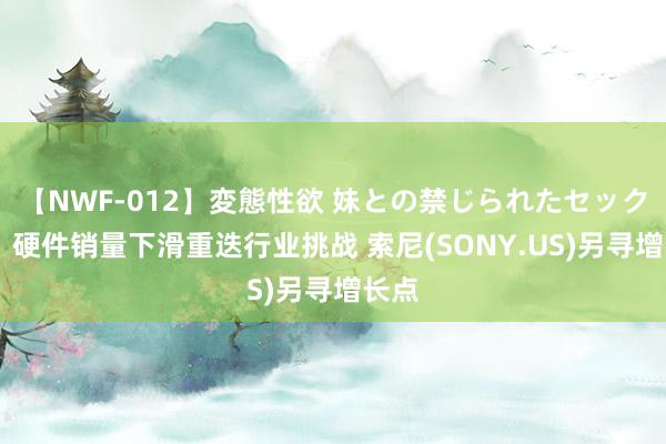 【NWF-012】変態性欲 妹との禁じられたセックス。 硬件销量下滑重迭行业挑战 索尼(SONY.US)另寻增长点