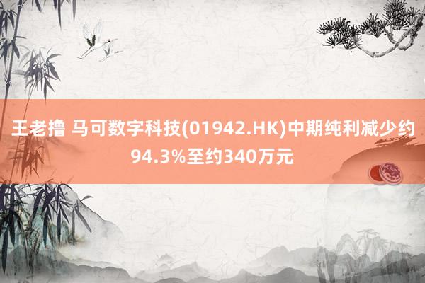 王老撸 马可数字科技(01942.HK)中期纯利减少约94.3%至约340万元